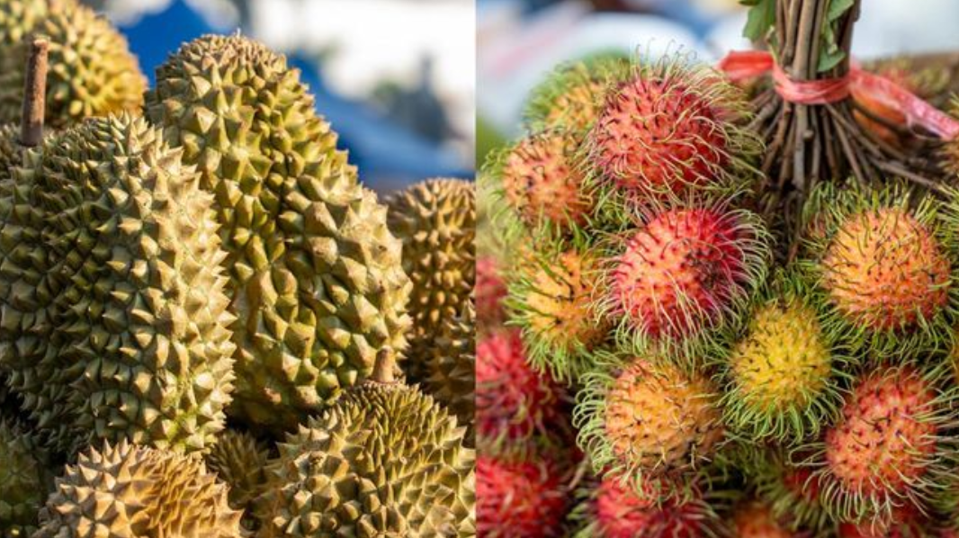 Bahayakan Kesehatan, Durian dan Rambutan Tak Boleh Dimakan Bersamaan