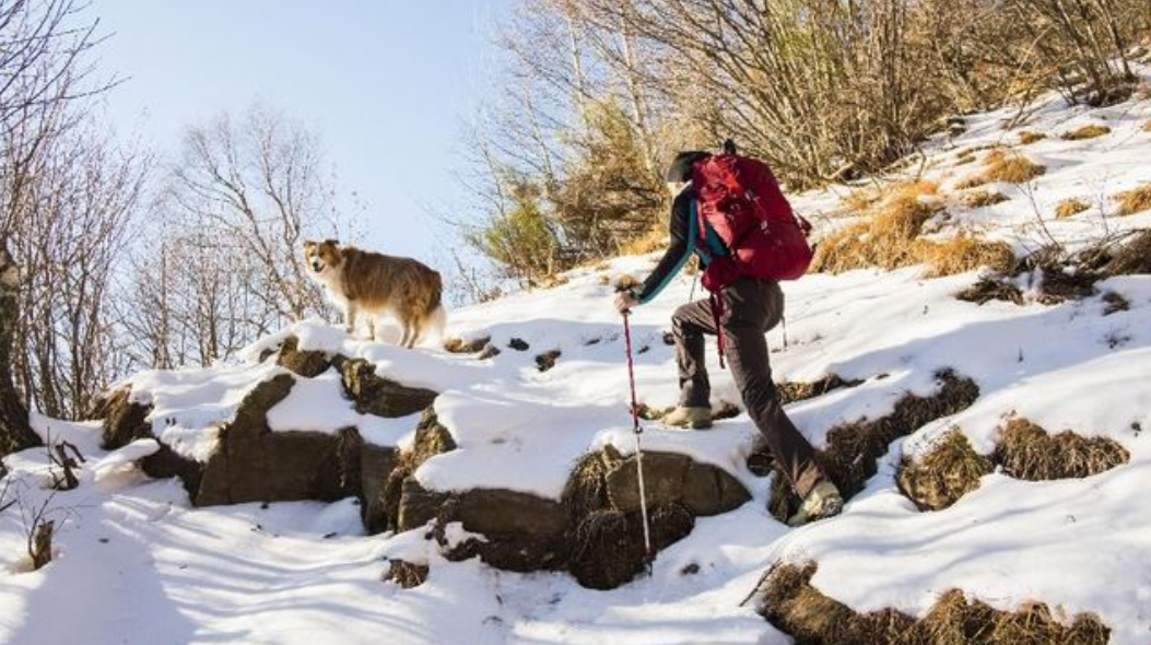 Patut Diwaspadai Para Pendaki, Apa Itu Acute Mountain Sickness?