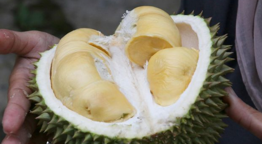 Turis Sebut Durian Malaysia Tak Enak hingga Bertengkar dengan Penjual