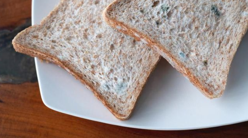 Kerap Tidak Disadari, Ini 5 Efek Makan Makanan Basi Buat Tubuh